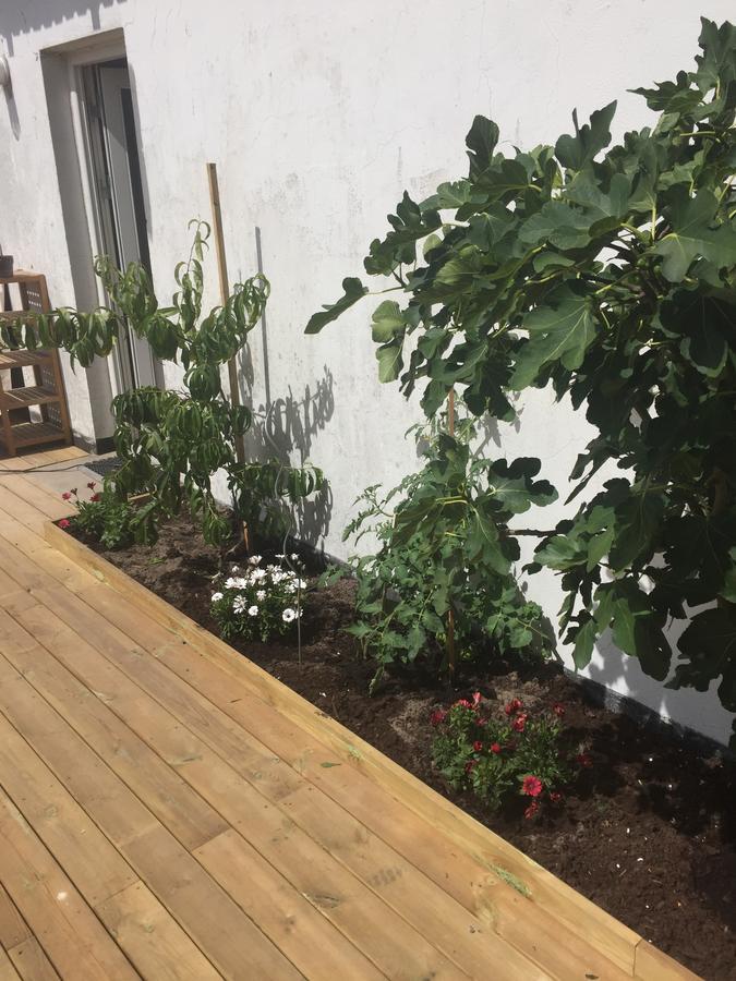 Molino Bed & Breakfast Bønnerup Strand Dış mekan fotoğraf