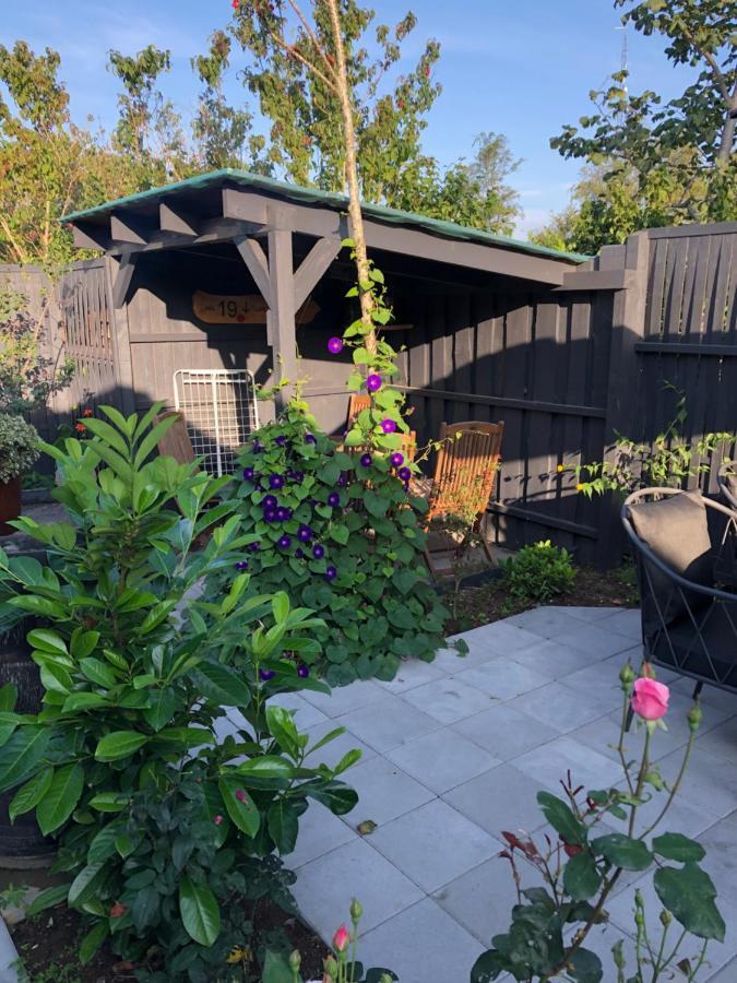 Molino Bed & Breakfast Bønnerup Strand Dış mekan fotoğraf